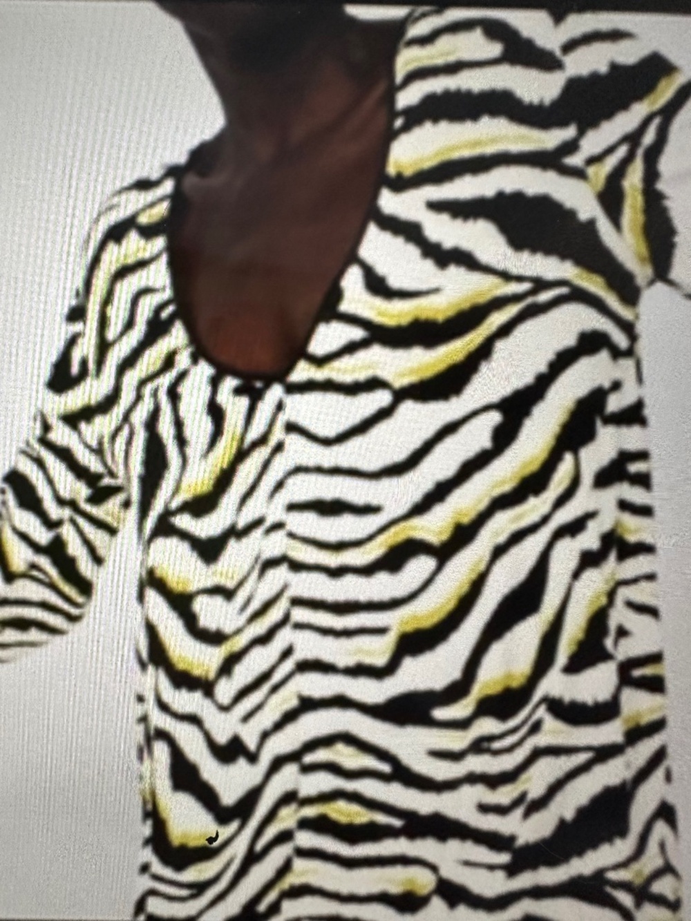 Zara Basic Deep v-neck Zebra Blouse